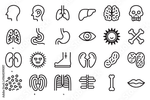 Diverse array of human anatomy and internal organ outline icons for medical, educational, and health designs