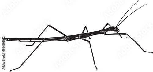 Master of Camouflage and Natural Disguise in Nature"