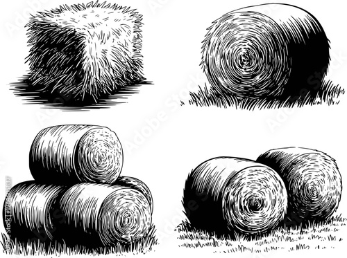 Black and white line of hay bales and round straw rolls a white background
