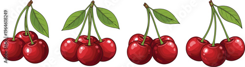 Set of fresh cherries with stems and leaves isolated on white background juicy fruit vector illustration collection