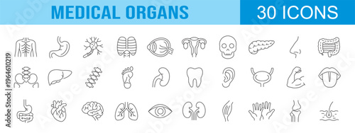 collection of medical organs icons, editable stroke.