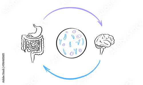 Gut Brain Connection