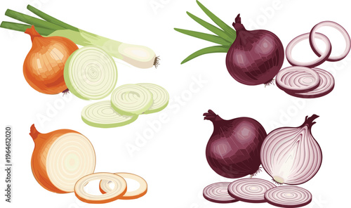 Set of fresh onions with slices and rings isolated on white background healthy vegetable vector illustration collection