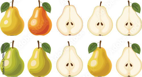 Set of fresh pears whole and sliced with leaves isolated on white background fruit vector illustration collection