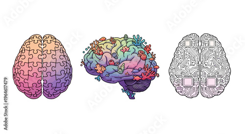 Brain Health Concept Diverse Cerebral Functions and Intellectual Capacity Showcased in Three Brain Representations for Mind Wellness and Cognitive