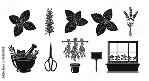 Collection of Culinary Herbs and Gardening Essentials in Black and White Illustration