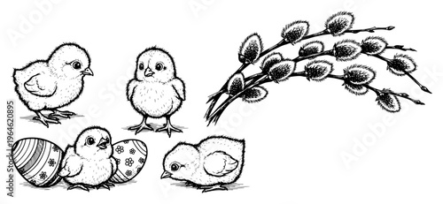 Easter chicks with patterned eggs and pussy willow branches in hatching sketch style