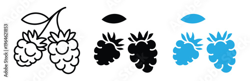 Set of blackberry icons in different colors and styles for design