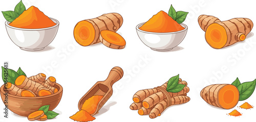 Comprehensive flat vector illustration collection of fresh turmeric roots, bundles, and ground orange powder in ceramic bowls and wooden scoops for wellness and cooking.