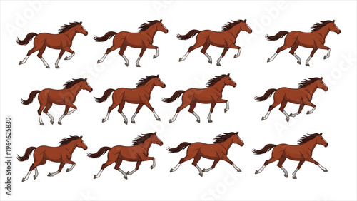 Cartoon horse animation showing running gait movements. 2D vector frames of walking, galloping, and racing sequences for thoroughbred or pet concepts