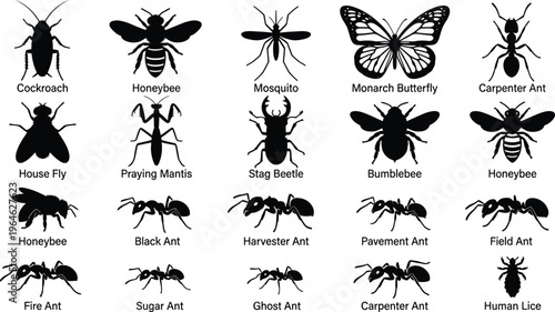 Black Insect Silhouette Set Featuring Ants Bee Butterfly Mosquito Cockroach Fly Mantis Beetle And Lice Isolated On White For Pest Control