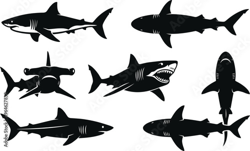 Black Shark Silhouette Set Featuring Great White Hammerhead And Predatory Sea Fish Species Isolated On White Background For Marine Design