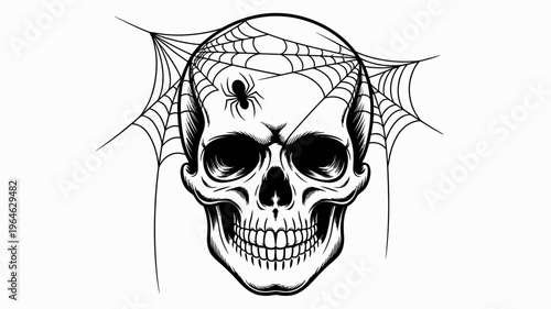 A spooky skull illustration covered in a spiderweb with a spider