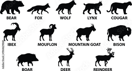 Wild Animal Silhouette Vector Set Featuring Bear Fox Wolf Lynx Cougar Ibex Mouflon Mountain Goat Bison Boar Deer and Reindeer Icons