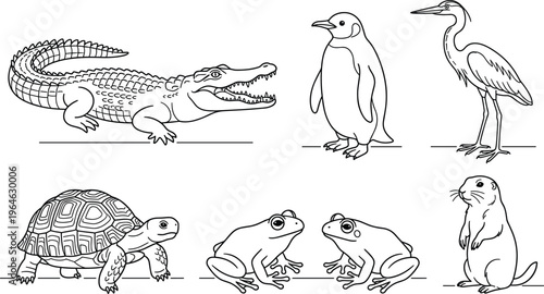 Wildlife animal line art vector set with crocodile, penguin, heron, turtle, frogs and groundhog icons, black outlines isolated on white