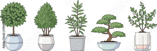 Set of flat vector illustrations featuring various indoor potted plants including bonsai trees, decorative shrubs, and lush green houseplants in modern minimalist ceramic pots.