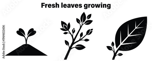 Young plant growth stages illustration on white background for eco concepts