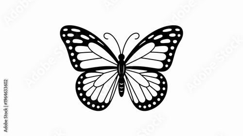 A delicate black and white illustration of a butterfly with detailed wings
