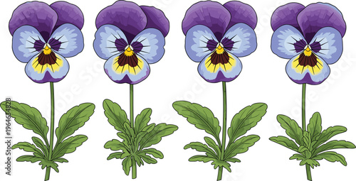 Set of pansy flowers with leaves isolated on white background colorful garden floral vector illustration collection