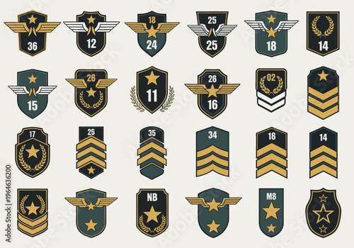 Set of Military Rank Insignias and Army Badges with Stars, Wings, and Chevrons for Game UI and Achievement Level Design