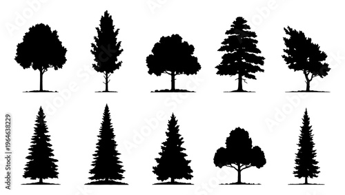 Black tree silhouettes collection, set of 10 deciduous and coniferous tree shapes, isolated forest plant vector icons for landscape design