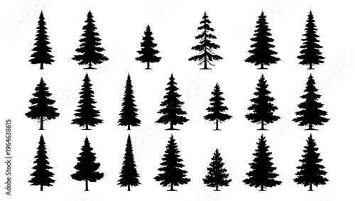 Pine tree silhouettes collection, set of 21 evergreen forest tree vectors, black conifer and spruce shapes for outdoor landscape design