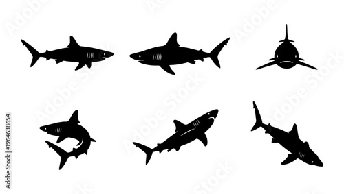 Shark silhouette vector collection, set of 6 marine predator icons, black great white shark shapes, ocean wildlife graphic elements for logo design
