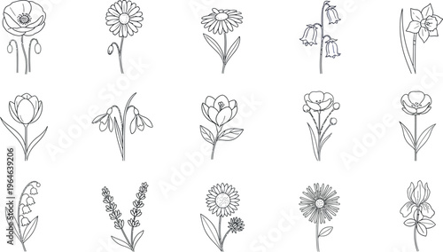 Collection of fifteen beautiful spring and summer blooming flower outline icons perfect for botanical designs and nature illustrations