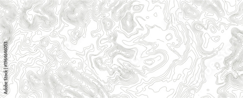 A blurry grayscale image with intricate patterns and textures