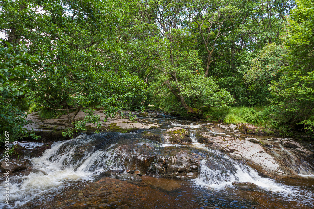 Ταπετσαρία Aira Beck, a beautiful stream above High Force, Matterdale, Lake District, Cumbr