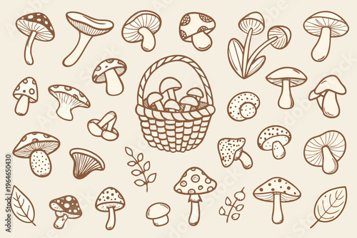 A collection of hand drawn mushrooms and a woven basket illustration