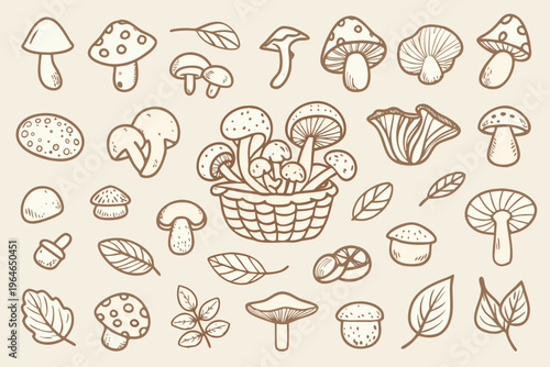 A collection of hand drawn mushrooms leaves and a woven basket