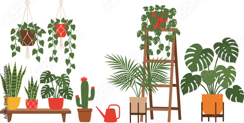 Collection of indoor houseplants in pots and hanging planters isolated on white background home decor vector illustration set