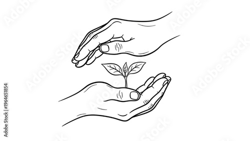 Hands gently protecting a delicate plant seedling, symbolizing growth and nurturing