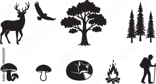 black silhouettes of nature and outdoor activities