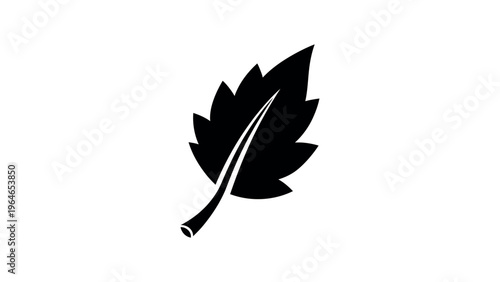 Black leaf silhouette with vein detail