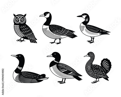 Detailed illustrations of various waterfowl and an owl black silhouette