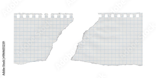 Split perforated graph notebook paper sheet with dramatic torn gap on transparent background