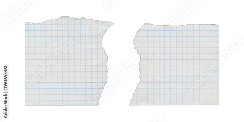 Two torn graph paper pieces with central rip separation on transparent background