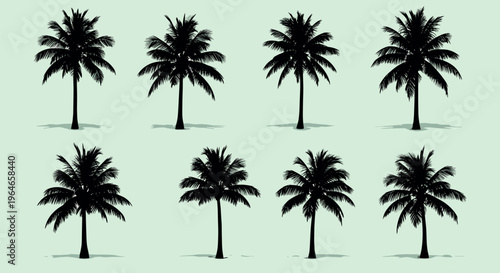 Palm tree silhouettes set tropical beach plants black vector collection for summer design travel nature illustration and decoration elements