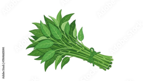 Fresh Green Leafy Vegetables Bundle Isolated on White