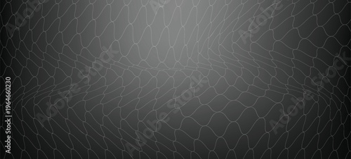 Net pattern. Rope net vector silhouette. Soccer, football, volleyball, tennis and tennis net pattern. Fisherman hunting net rope texture or pattern.