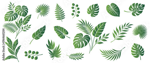 Fresh tropical leaves collection in natural green tones, featuring monstera, palm, and fern foliage. Clean botanical set isolated on white background for modern design use.