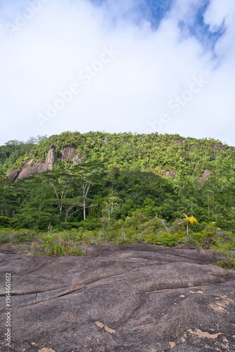 Cuadro en lienzo Mountain view with trees, inside Nature hike of Glacis la reserve nature trail,