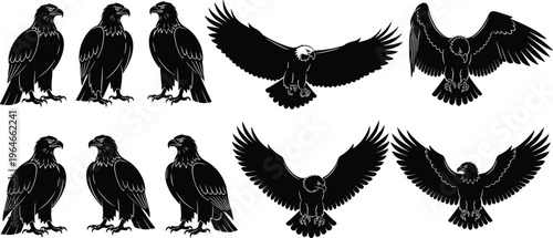 Eagle silhouette collection, majestic bird of prey set, flying and standing poses, black vector illustration, wildlife predator icons isolated on white background