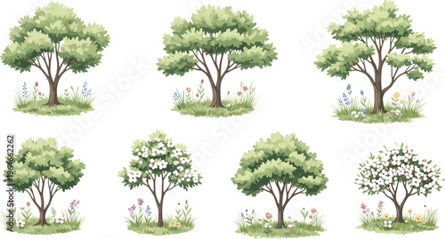 Watercolor tree elevation vector with flowers grass and blooming shrubs landscape design isolated on white