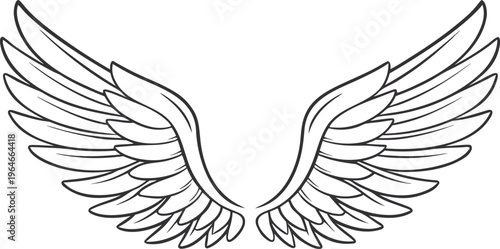 Black outline of angel wings with thin smooth lines wing outline black and white