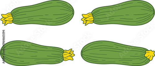 Fresh Zucchini Vector Set with Multiple Views of the Vegetable for Healthy Eating, Cooking, and Organic Food Illustrations