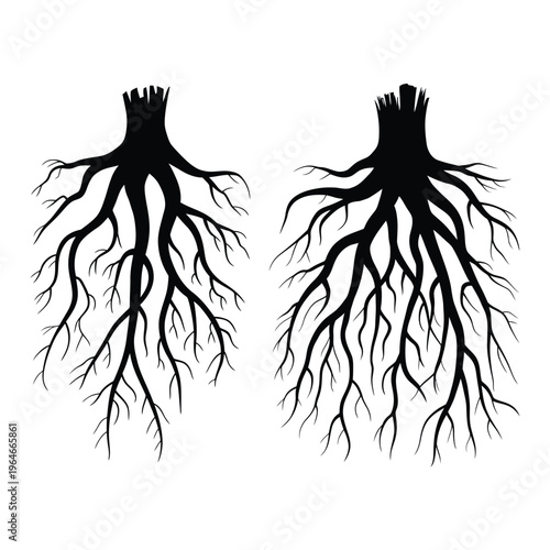 Two black silhouettes depict tree roots spreading across a white background