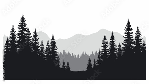 Pine trees silhouettes. Evergreen coniferous forest silhouette, nature spruce tree park 
